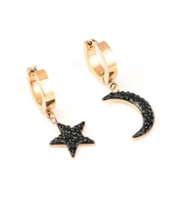 Сережки Steel Story SS-1599