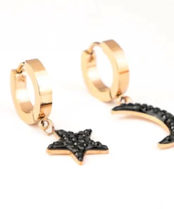 Альтернативний вигляд Сережки Steel Story SS-1599